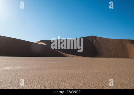 Salz und Ton-Pfanne, Deadvlei, Sossusvlei, Namib-Wüste, Namibia Stockfoto