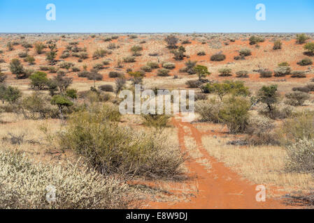 Weite Landschaft, Kalahari, Namibia Stockfoto