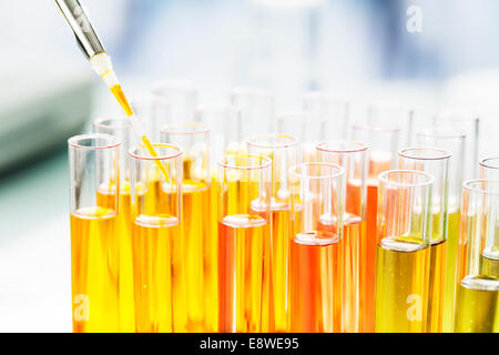 Nahaufnahme der Wissenschaftler Pipettieren Lösung in Reagenzglas im Labor Stockfoto