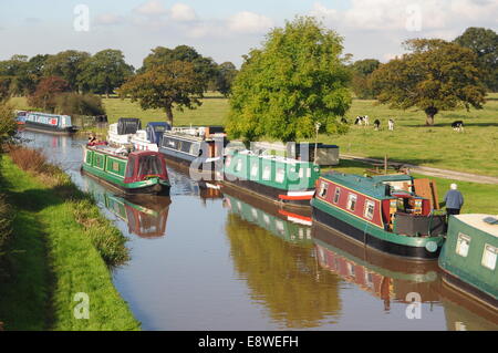 Shropshire Union Canal bei Hargrave Südosten Waverton und Chester Stockfoto