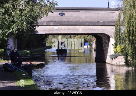 119 Brücke auf The Shropshire Union Canal bei Waverton in der Nähe von Chester. Stockfoto