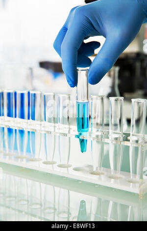 Wissenschaftler Kommissionierung Reagenzglas aus Rack auf Theke im Labor Stockfoto