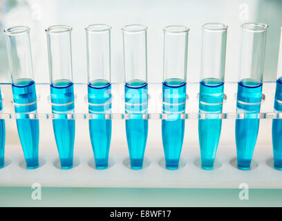 Rack-Reagenzgläser mit Lösung auf Zähler im Labor Stockfoto