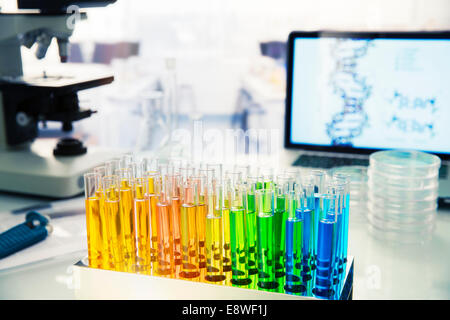 Rack-Reagenzgläser mit Lösung auf Zähler im Labor Stockfoto