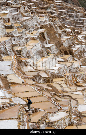 Salinas de Maras En el Valle Sagrado Cerca de Cuzco. Maras ist eine Stadt im Heiligen Tal der Inkas, 40 Kilometer nördlich von C Stockfoto