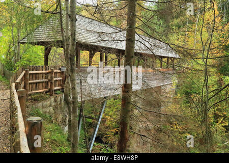 Gedeckte Holzbrücke, Finsterbachtal Stockfoto