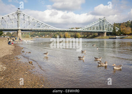 Elbe und der Brücke Blaues Wunder, Dresden, Sachsen, Deutschland Stockfoto