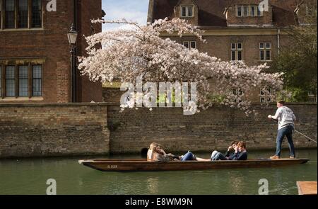 Leute da draußen Stechkahn fahren auf dem Fluss Cam in Cambridge an einem sonnigen Frühlingstag. 17. März 2014. Stockfoto