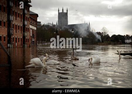 Überschwemmungen Worcester als River platzt Severn seine Ufer. Stockfoto