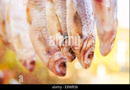 Stockfisch im Freien trocknen in der Sonne, Kunstwerk im Malstil Stockfoto