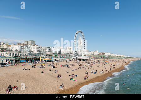 Reisen / touristische Bilder von Brighton und Hove, Sussex, England, Meer, Pier, Stadt, Geschäfte, Strand, Stege, Sehenswürdigkeiten, Pavillon, Stockfoto