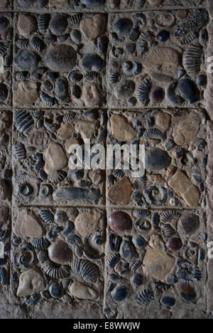 Pflaster hergestellt aus Fossilien, Convento Santo Ecce Homo, in der Nähe von Villa de Leyva, Kolumbien Stockfoto