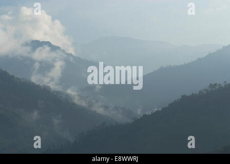 Blick auf das Tal von Hacienda El Caney (Plantage), in der Kaffee-wachsenden Region, in der Nähe von Manizales, Kolumbien Stockfoto