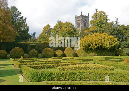 Geformte Hecken in Elvaston Hall Stockfoto