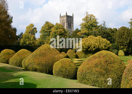 Geformte Hecken in Elvaston Hall Stockfoto