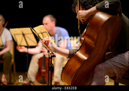 Saiten: Das Orion-Ensemble in Proben bei Aberystwyth Kunstzentrum MusicFest 2014 Stockfoto