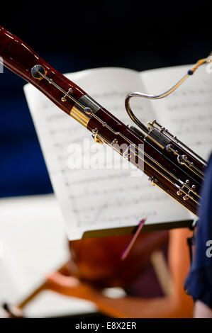 Holzbläser: Oboe... Das Orion-Ensemble bei den Proben in Aberystwyth Kunstzentrum MusicFest 2014 Stockfoto