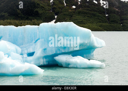 Eisberge im Wasser vor Bergen. Stockfoto