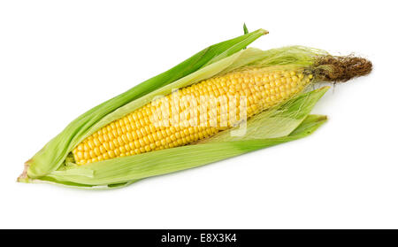 Maiskolben mit Haaren isoliert auf weißem Hintergrund. Mais-Ohren. Stockfoto