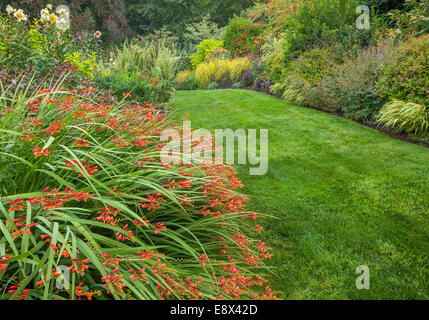 Maury-Vashon Island, WA: Orange Crocosmia blühen in einem Sommer Staudengarten Stockfoto