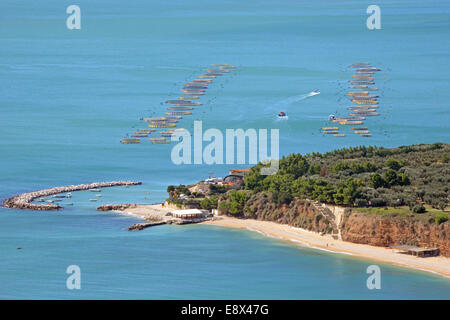 Fischzucht in der Adria, der Gargano Vorgebirges, Apulien, Italien Stockfoto