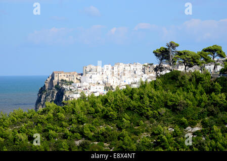 Die Klippe Peschici gesehen von weiter entlang der Küste über eine bewaldete Region Puglia Stockfoto