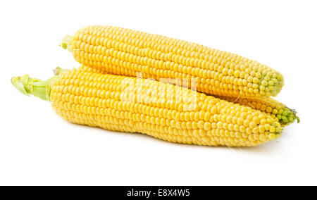 Haufen von raw Corns Maiskolben isoliert auf weißem Hintergrund. Mais-Ohren. Stockfoto