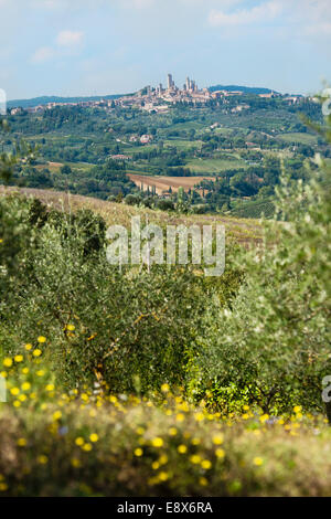 Blick auf toskanischen Dorf San Gimignano mit Feldern, Wiesen und Weinberge, Toskana, Italien Stockfoto