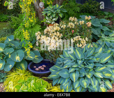 Maury-Vashon Island, WA: Frühling Beet mit blühenden Rhododendren, Grape Hyacinth, Hostas und japanischen Wald Wiese unter einem Stockfoto