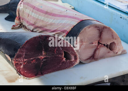 Große Fische zum Verkauf auf dem täglichen Fischmarkt in Marseille Vieux Port Stockfoto