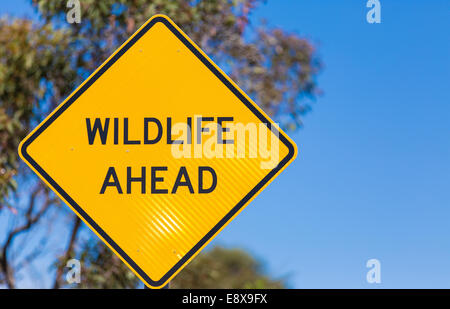 Ein "Wildlife voraus" Zeichen neben einer Fernbedienung Stockfoto