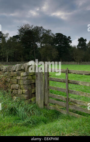 Close-up geschlossen Holz- Tor- & Rustikal aus Bruchstein Mauer von landwirtschaftlichen Weideland Feld in der malerischen Landschaft - North Yorkshire, England, UK. Stockfoto