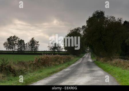 Am frühen Abend unter Grau bewölkt ominösen Himmel, entlang verlassenen, gerade country lane, Klettern in die Ferne - North Yorkshire, England, UK. Stockfoto