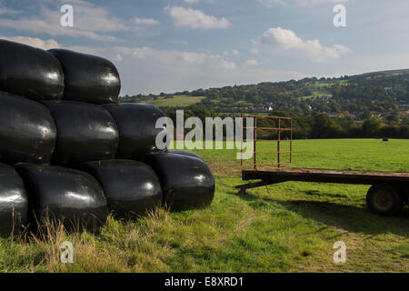 Unter blauem Himmel, schwarz, gewickelt, sonnendurchflutete, Heuballen hoch in Feld nach Farm trailer angehäuft - malerische Wharfe Tal Landschaft, North Yorkshire, England, Großbritannien Stockfoto