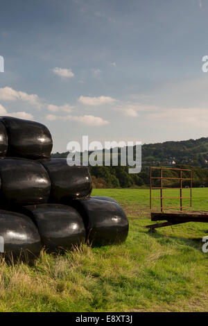 Unter blauem Himmel, schwarz, gewickelt, sonnendurchflutete, Heuballen hoch in Feld nach Farm trailer angehäuft - malerische Wharfe Tal Landschaft, North Yorkshire, England, Großbritannien Stockfoto