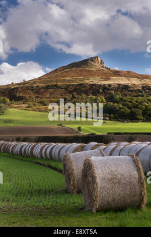 Unter blauem Himmel, Strohballen gesäumt in Feld am Fuße des Roseberry Topping, Prominent Hill in der malerischen Landschaft - North Yorkshire, England, UK. Stockfoto