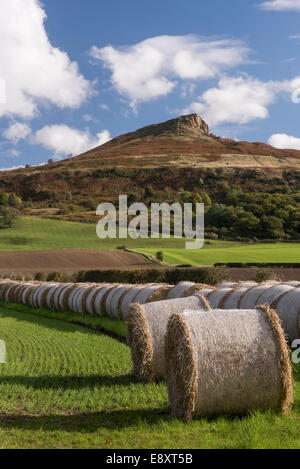 Unter blauem Himmel, Strohballen gesäumt in Feld am Fuße des Roseberry Topping, Prominent Hill in der malerischen Landschaft - North Yorkshire, England, UK. Stockfoto