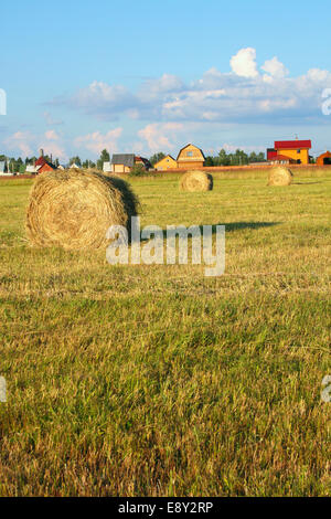 Hay rollt auf dem Gebiet vor Ort Stockfoto