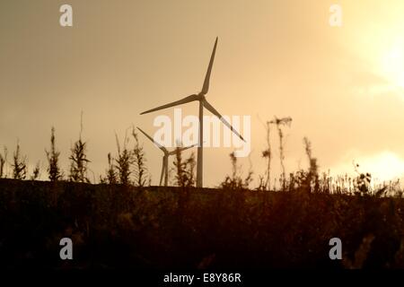 Zwei Windenergieanlagen in einem Bauernhof Feld Silhouette gegen ein bewölkter Himmel und gesehen von hinten das Unkraut am Rande eines Feldes Stockfoto