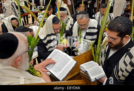 Religiöse jüdische Männer Segen der Esrog und Lulv während des jüdischen Feiertages von Sukkot auf eine Synagoge in Brooklyn, New York. Stockfoto