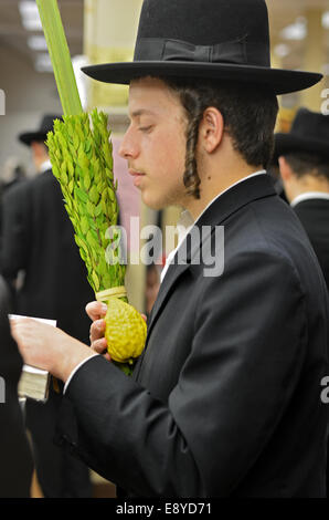 Religiösen jüdischen jungen Mann Segen der Esrog und Lulv in einer Synagoge in Brooklyn, New York, während des jüdischen Feiertages von Sukkot. Stockfoto