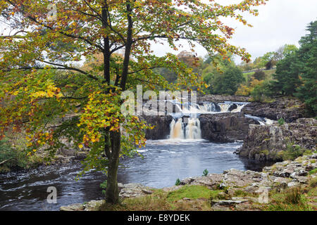 Geringe Kraft auf den Fluss Tees im Herbst oberen Teesdale, County Durham UK Stockfoto