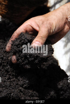 Schwarzerde Stockfoto