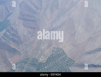 Getreidefelder im Maipo-Tal, Santiago de Chile, Chile, Stockfoto