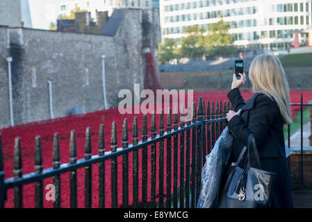 16. Oktober 2014: junge Frau mit dem Fotografieren von Keramik Mohn Kunstinstallation an der Tower of London Stockfoto