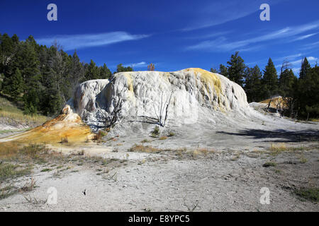 Orange-Frühling Hügel auf der oberen Terrasse Rundweg in Mammoth Hot Springs, Yellowstone Park Stockfoto