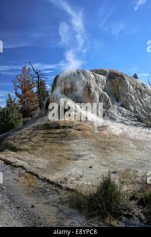 Orange-Frühling Hügel auf der oberen Terrasse Rundweg in Mammoth Hot Springs, Yellowstone Park Stockfoto