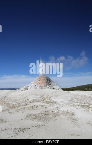 White Dome Geyser, auffällige Kegel-Typ Geysir, in der unteren Geysir-Becken im Yellowstone-Nationalpark Stockfoto