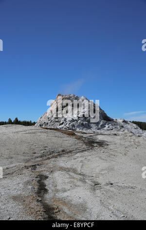 White Dome Geyser, auffällige Kegel-Typ Geysir, in der unteren Geysir-Becken im Yellowstone-Nationalpark Stockfoto