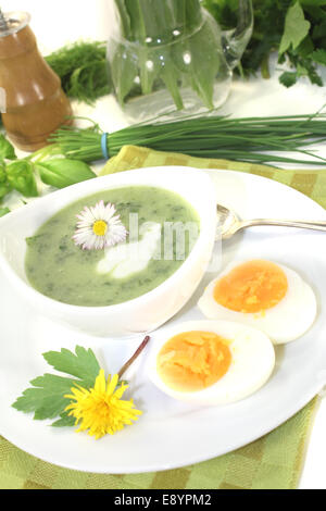 grüne Kraut-Suppe mit Eiern und einem Klecks Sahne Stockfoto